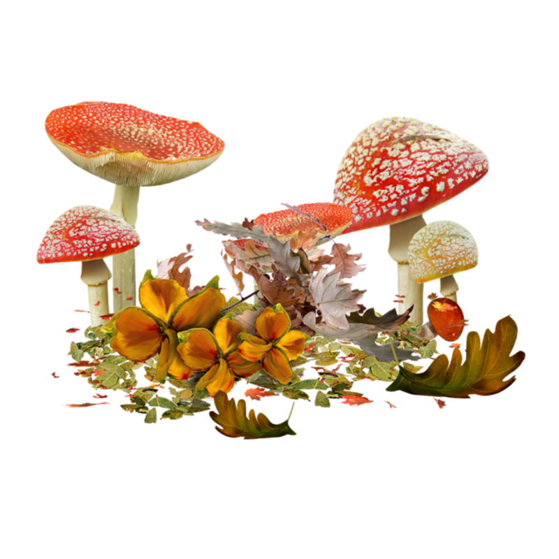 91701910_mushroom_5.png