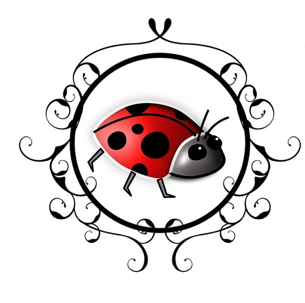 COCCINELLE