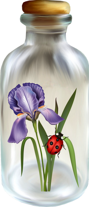 COCCINELLE 2