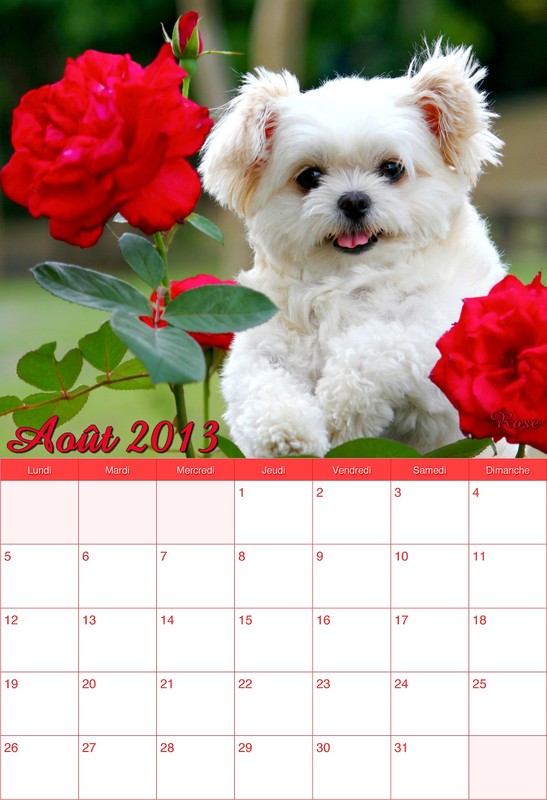 CALENDRIER AOUT 2013