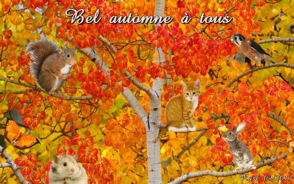 L'AUTOMNE EST LA