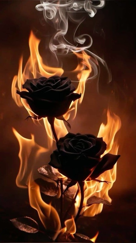 ROSES 4