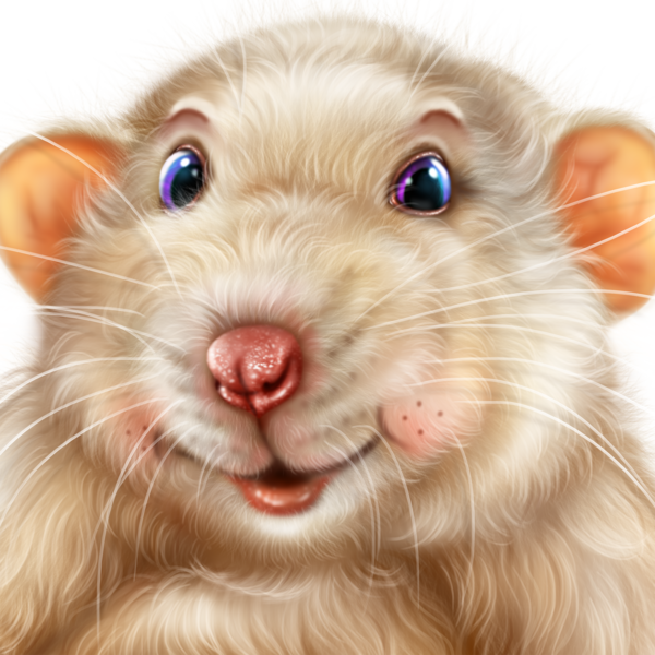 SOURIS RAT HAMSTER... 2