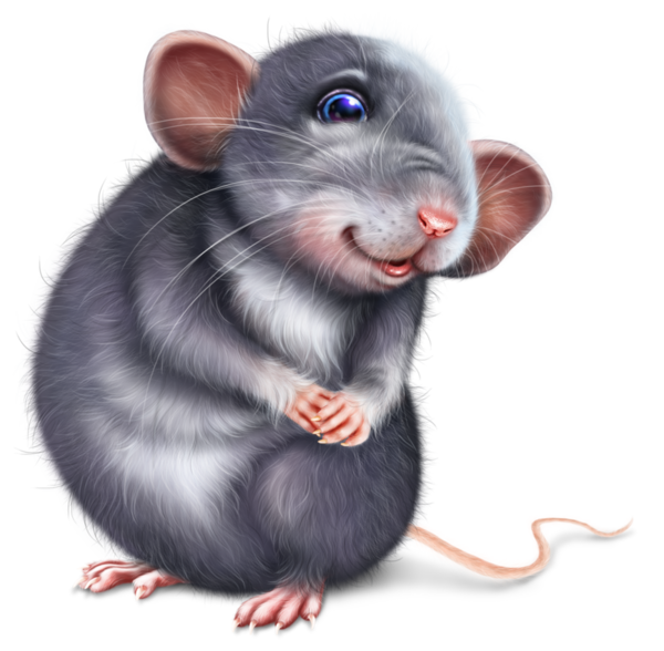 SOURIS RAT HAMSTER... 2