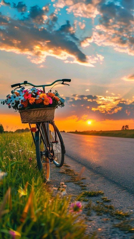 BICYCLETTE OU VELO 2