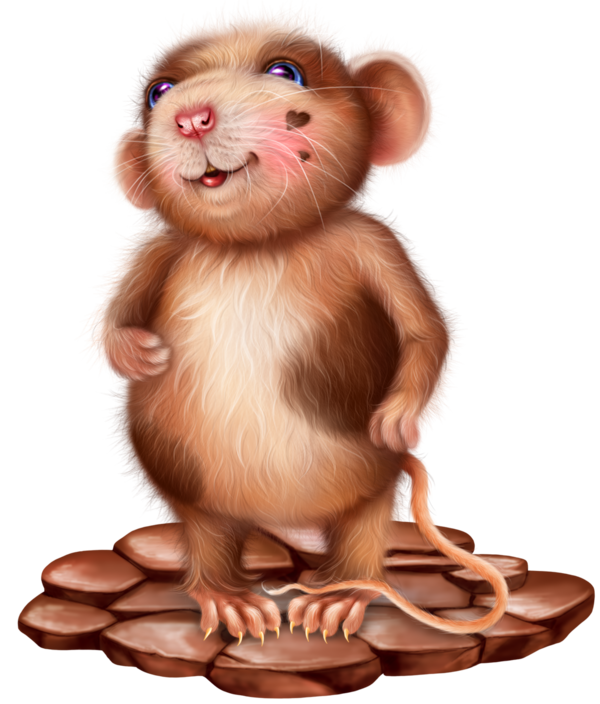 SOURIS RAT HAMSTER... 2