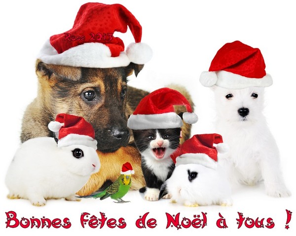 JOYEUX NOEL A TOUS !