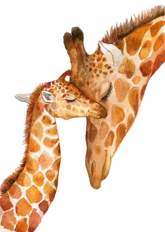 GIRAFE