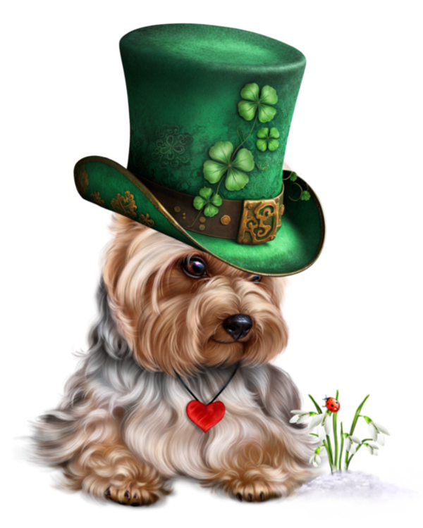 TUBE SAINT PATRICK ANIMAUX
