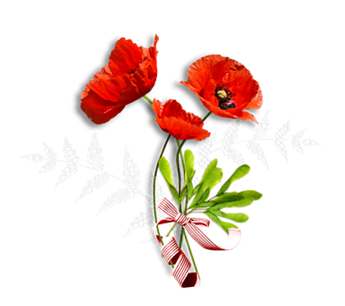 COQUELICOTS 2