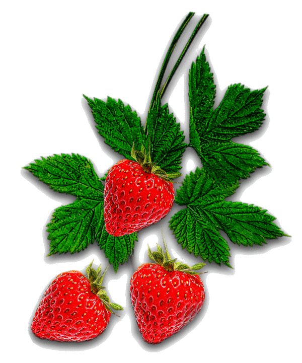 LES FRAISES