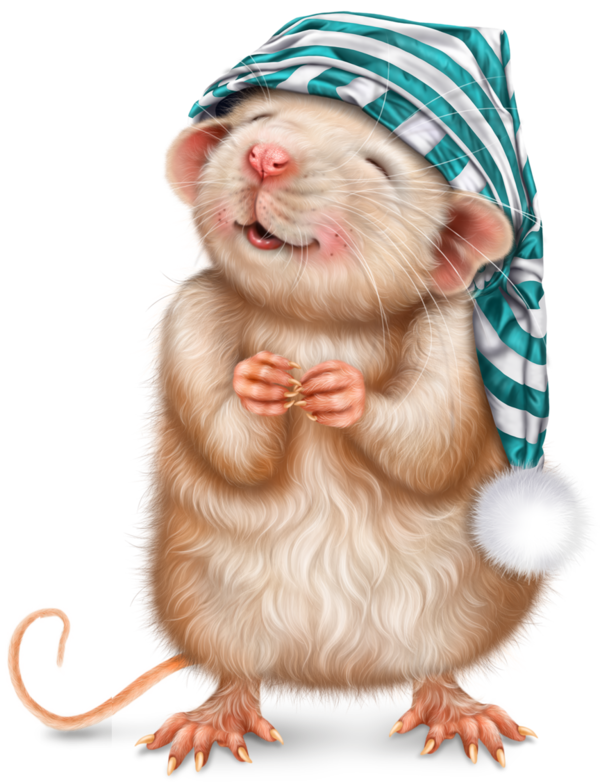 SOURIS RAT HAMSTER... 2