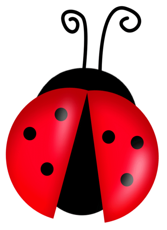 COCCINELLE