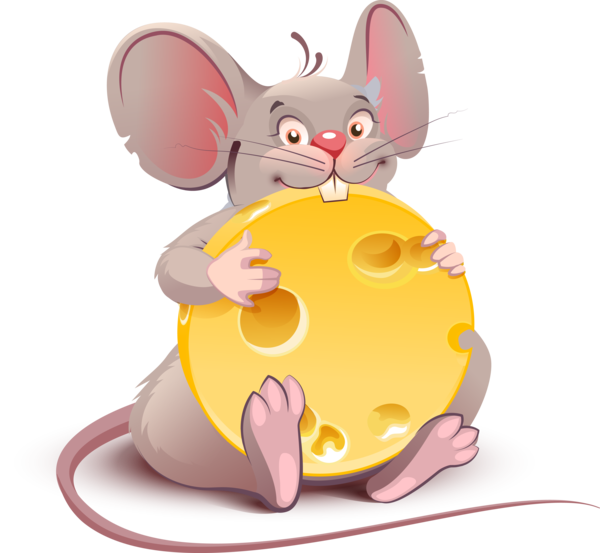 SOURIS RAT HAMSTER 2