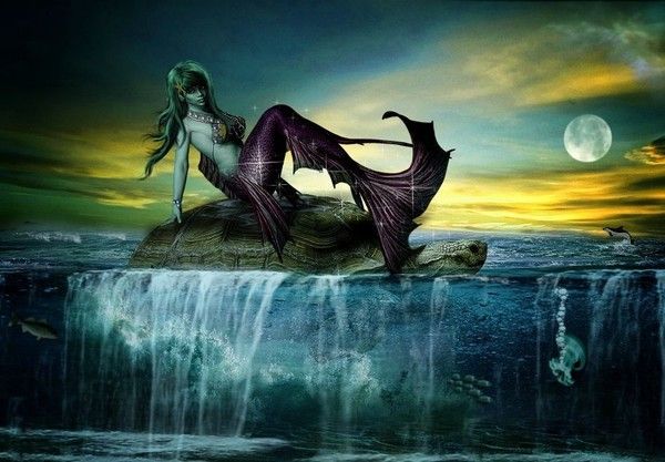 SIRENE 2