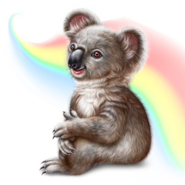 KOALA