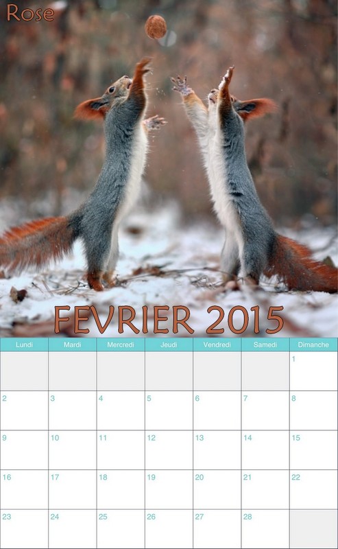 CALENDRIER FEVRIER 2015