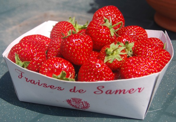 LES FRAISES