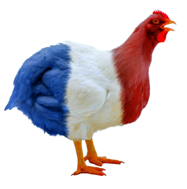 POULE