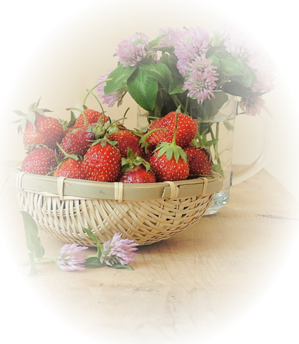 LES FRAISES