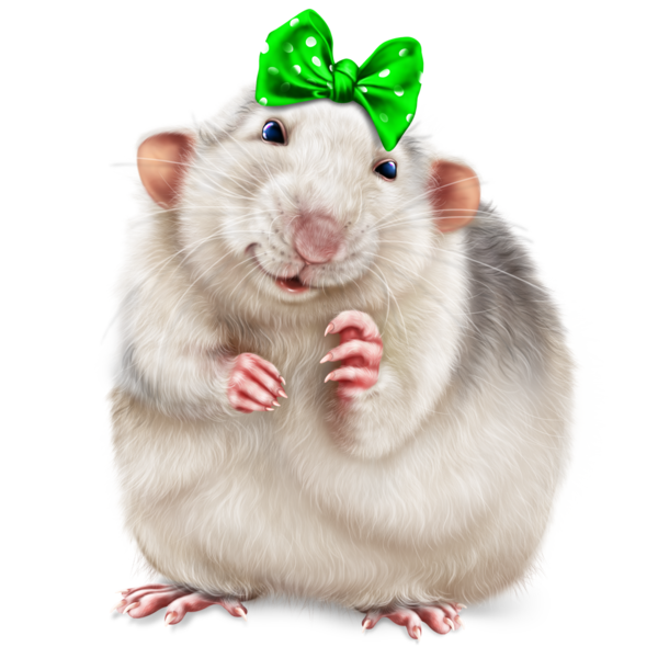 SOURIS RAT HAMSTER... 2