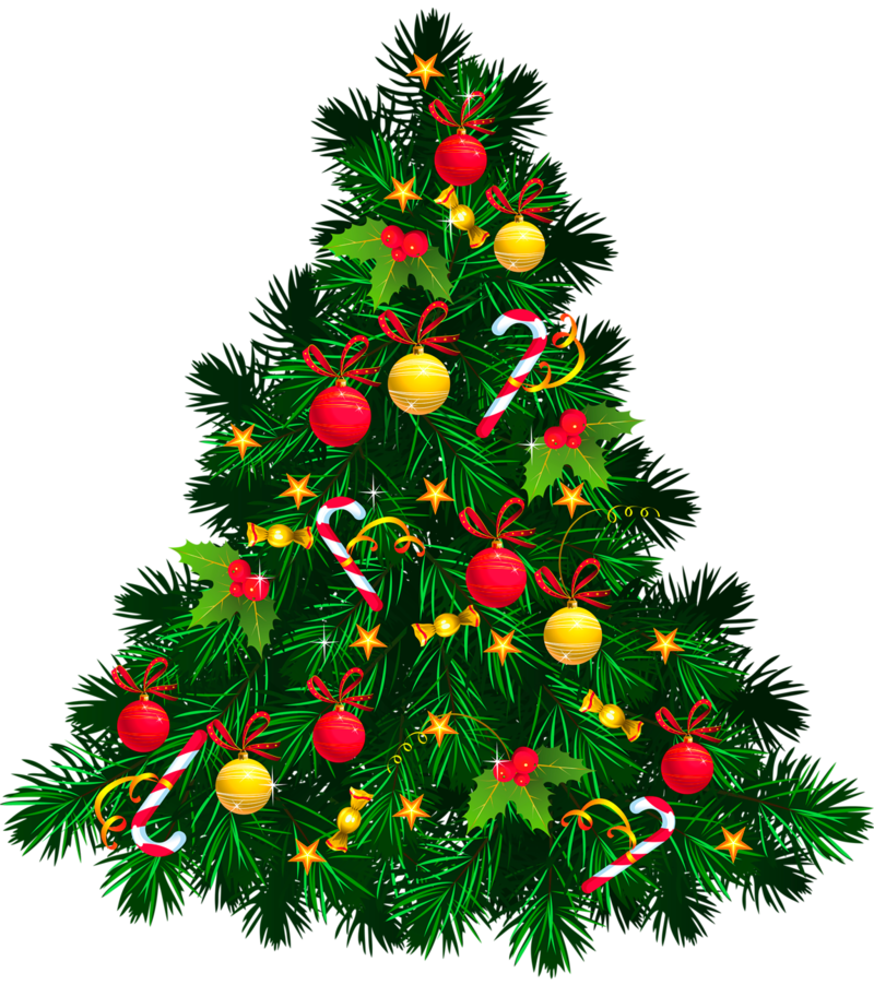 9f35d-transparent_christmas_tree.png