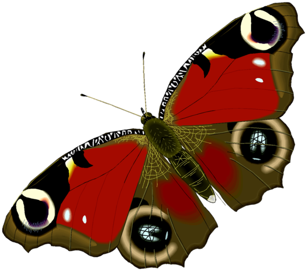 PAPILLON