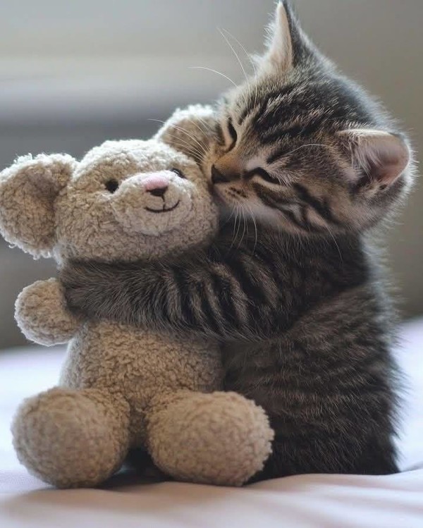 PELUCHE 4