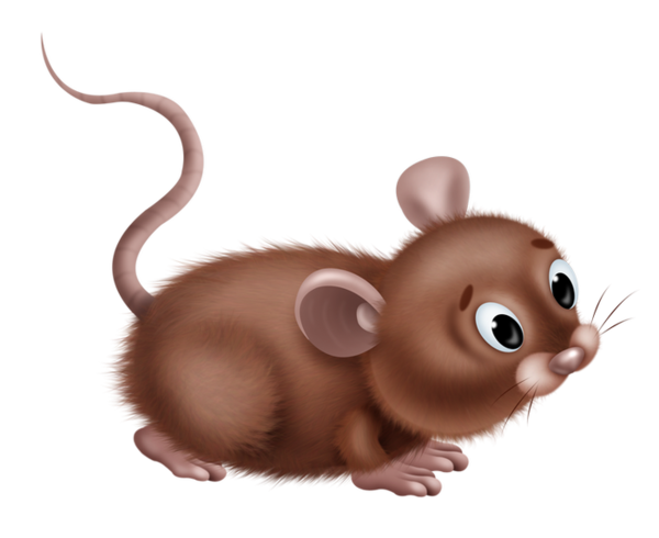 RAT SOURIS... 2