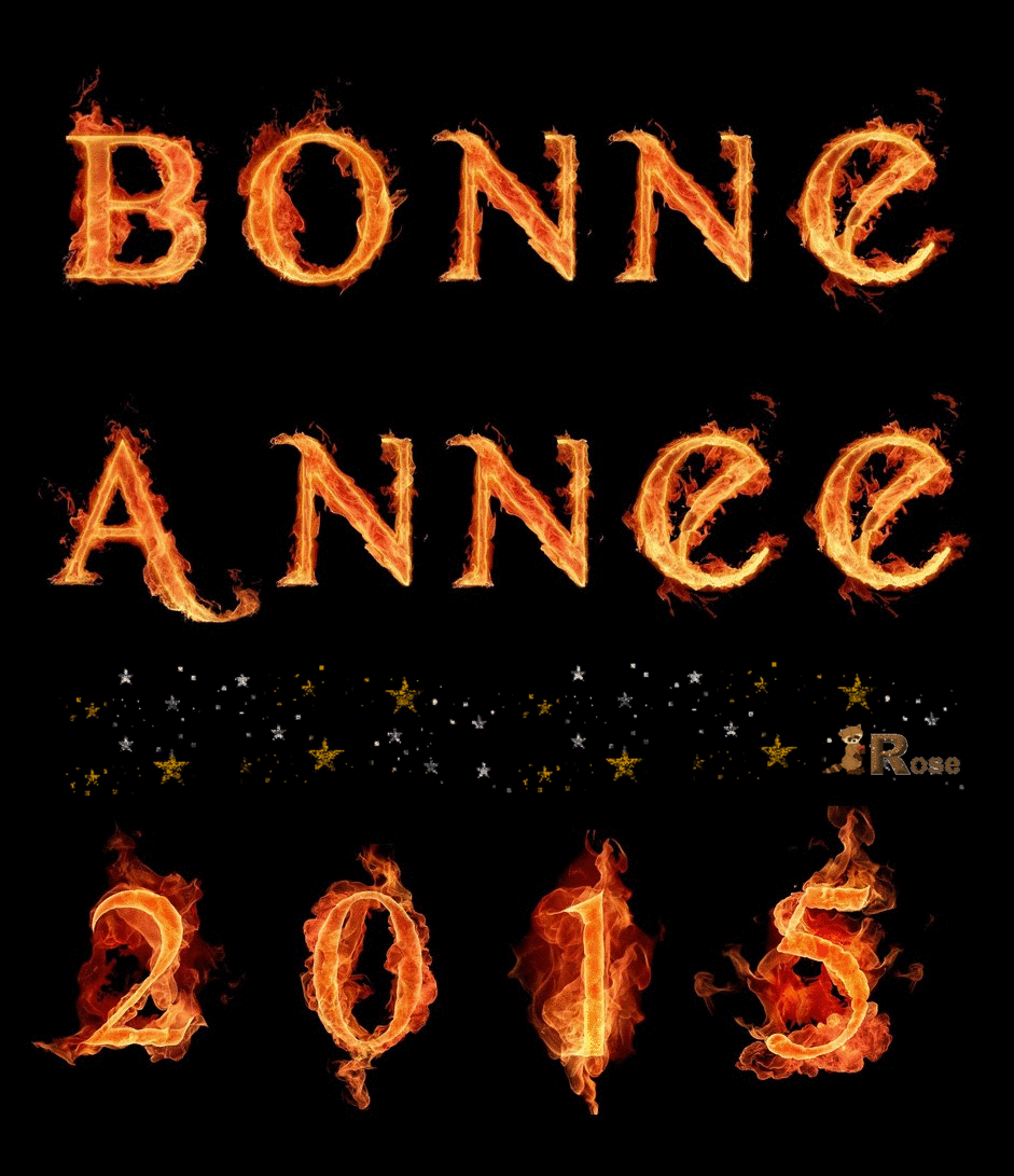BONNE-ANNEE-2015.gif