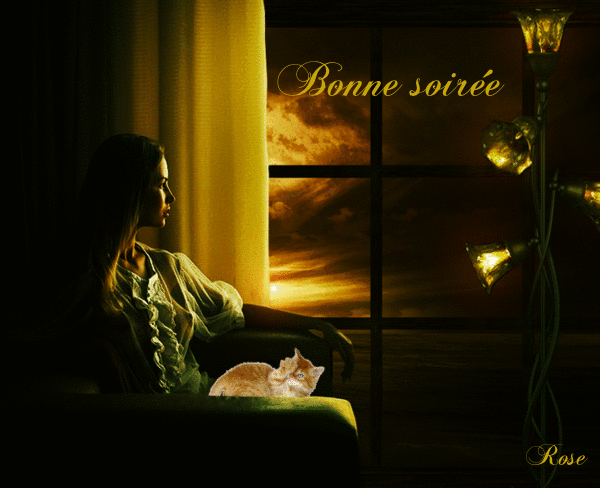 BONNE-SOIREE-4.gif