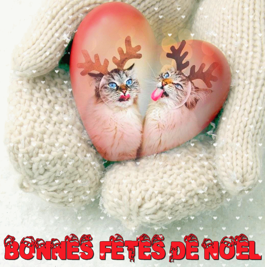 BONNES-FETES-DE-NOEL_1.gif