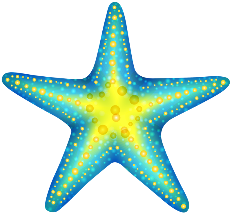 Blue_Starfish_PNG_Clip_Art-1718.png