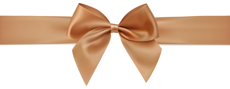 Brown_Ribbon_PNG_Clipart-522.png