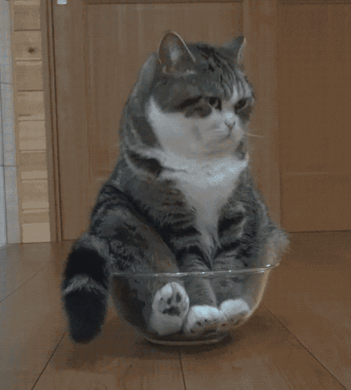 CHAT