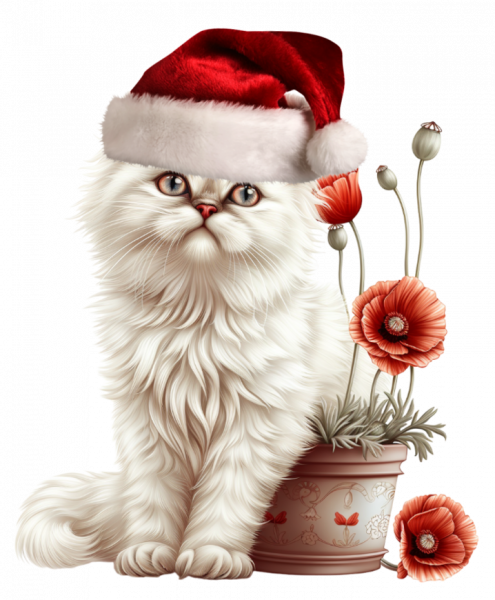 CHAT_ROSE_NOEL_4