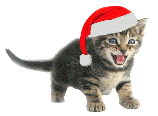 ChristmasKitten1.png