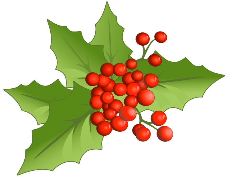 Christmas_Large_PNG_Mistletoe_Clipart.png