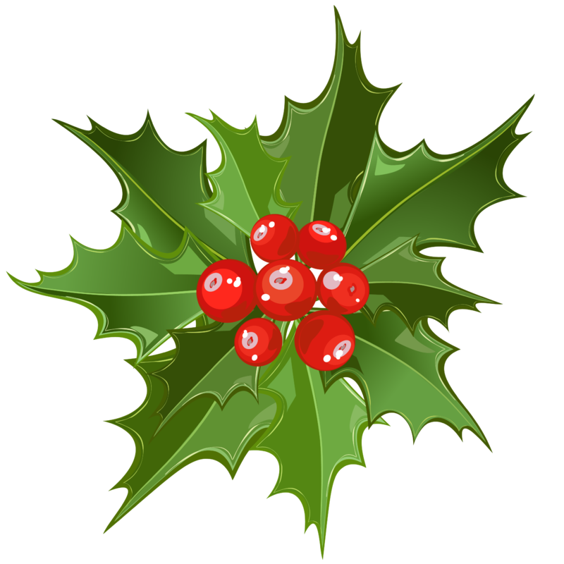 Christmas_Mistletoe_PNG_Art.png