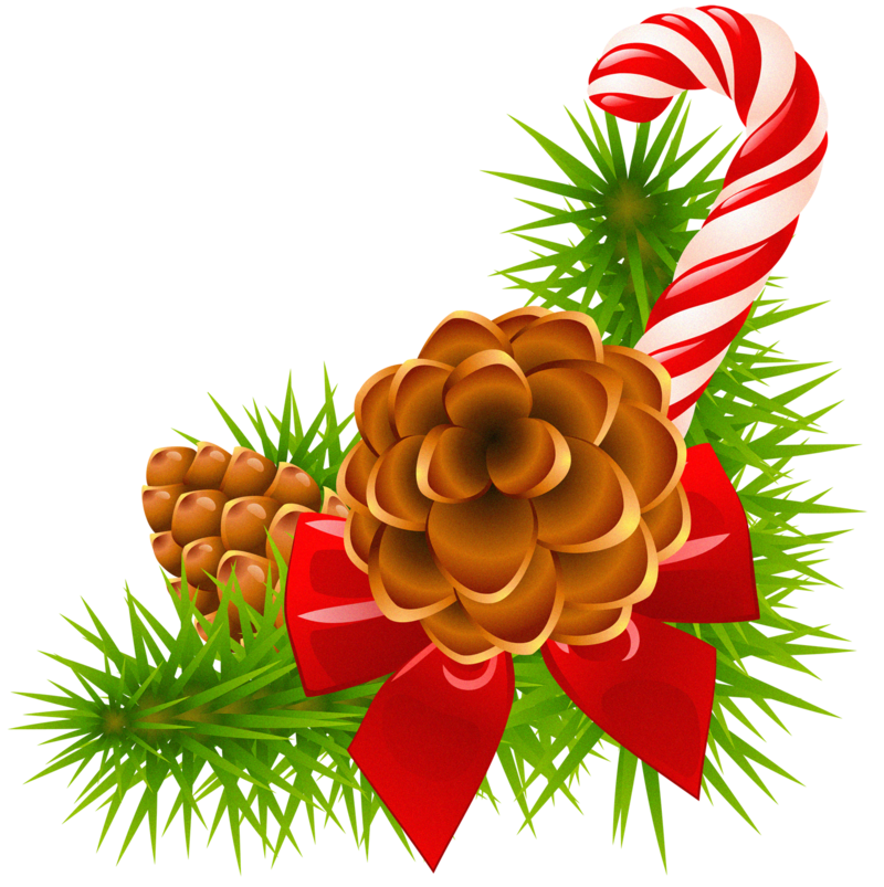 Christmas_Pine_Branch_with_Cones_and_Candy_Cane_Decor.png