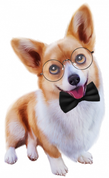 Corgi_10