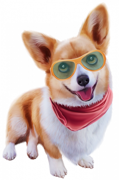 Corgi_6.png2