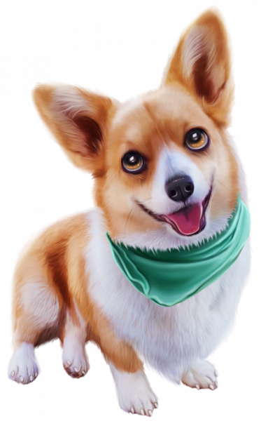 Corgi_7