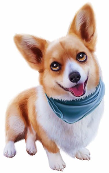 Corgi_8.png2