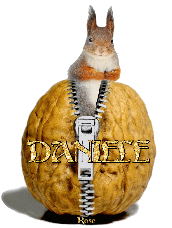 DANIELE_2.gif
