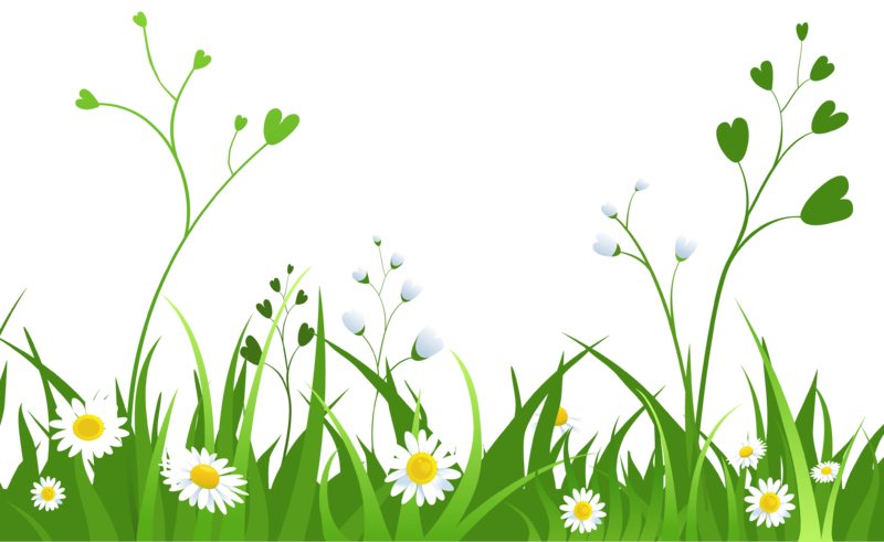 Daisies_with_Grass_PNG_Clipart_Picture.png