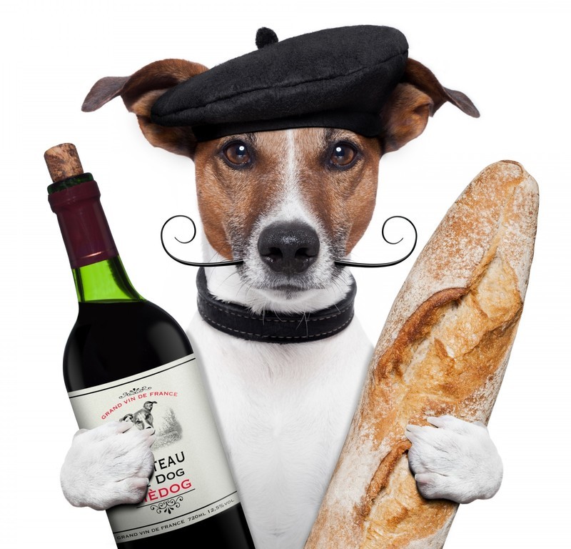 Dogs_Wine_Bread_Baseball_417598.jpg