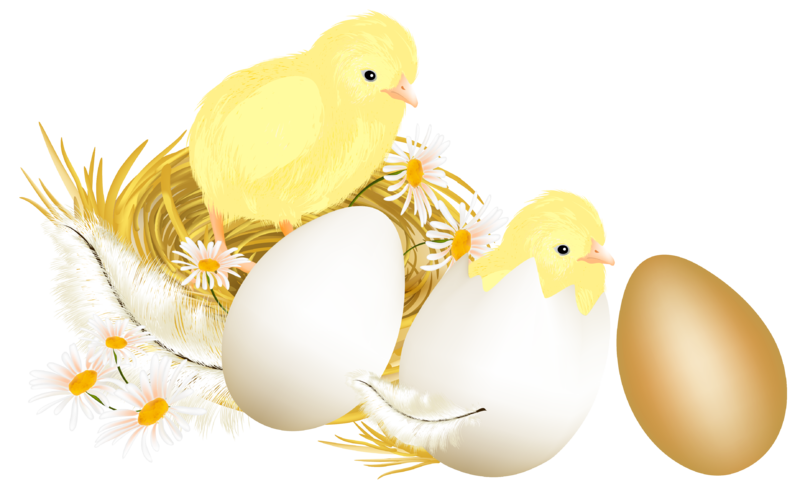 Easter_Eggs_and_Chickens_PNG_Picture_Clipart.png