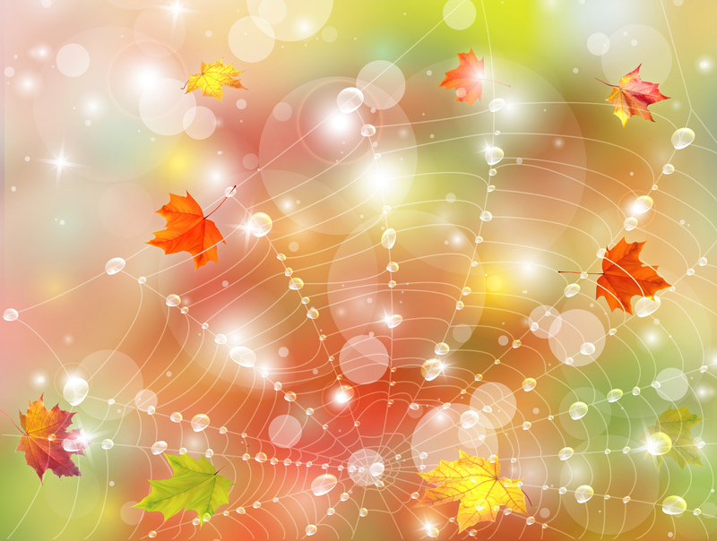 Fall_Background_with_Leaves_and_Web.jpg