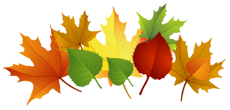 Fall_Leaves_PNG_Clipart.png